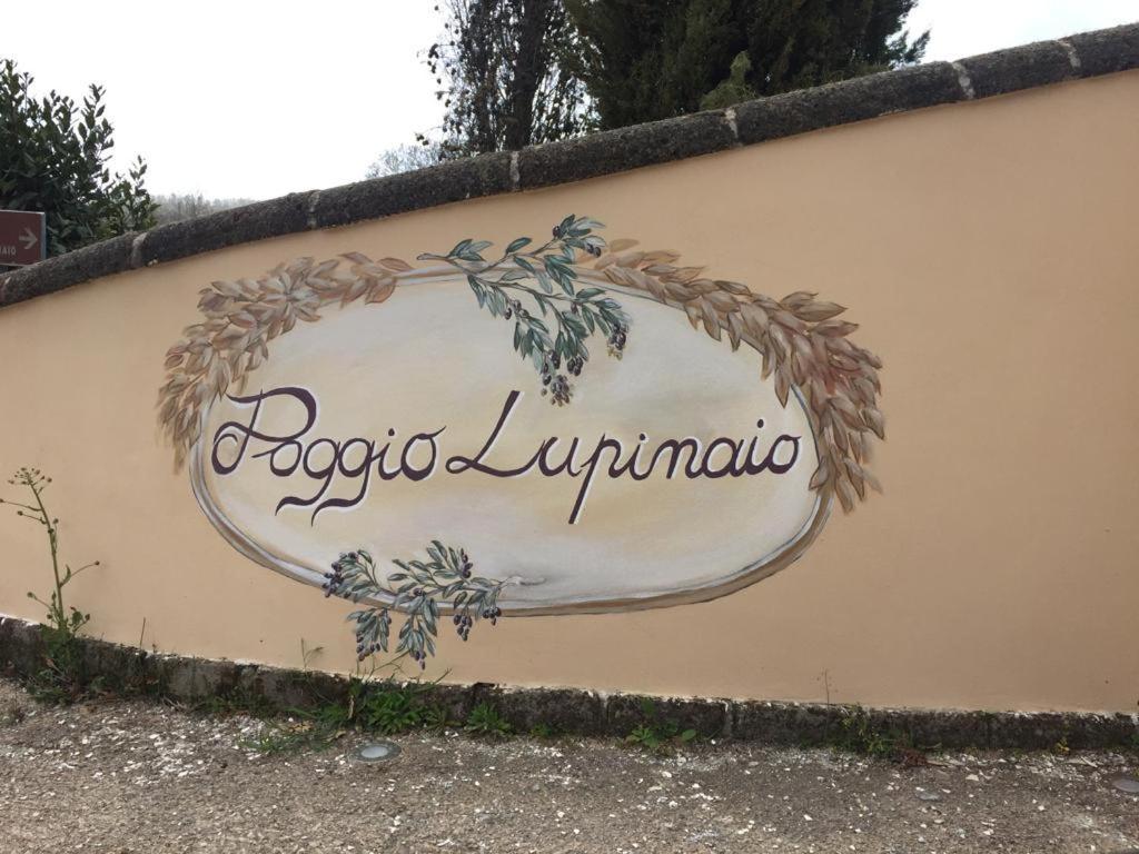 Podere Poggio Lupinaio San Martino sul Fiora Zewnętrze zdjęcie